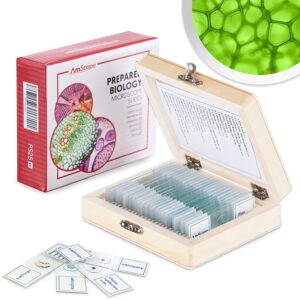AmScope Assorted Prepared Glass Slides