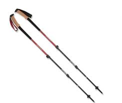 Black Diamond Ergo Poles