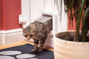 SureFlap Smart Cat Flap