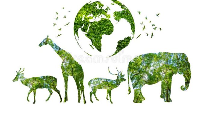 Top 6 ways to save wildlife Top 6 ways to save wildlife