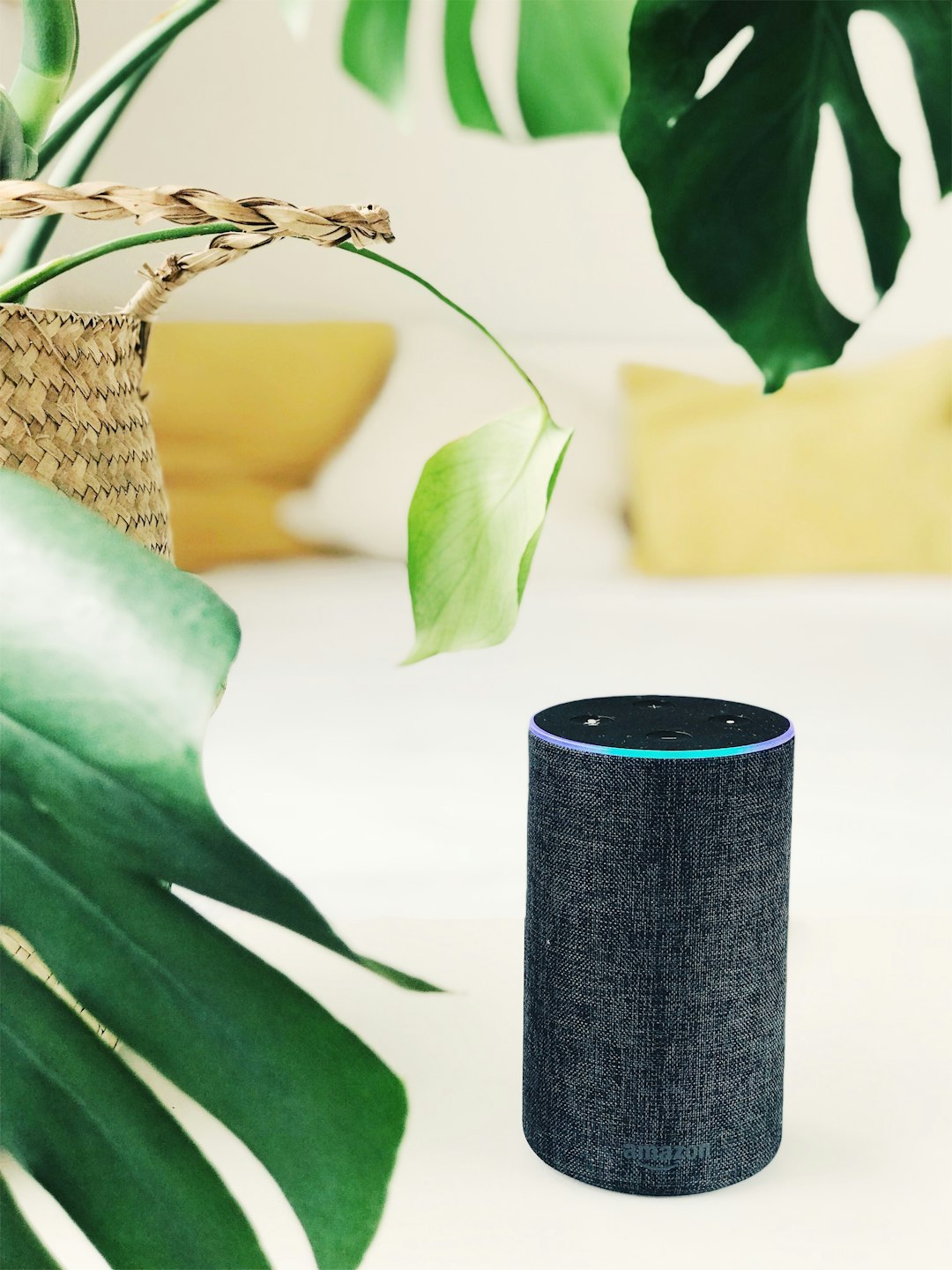 Amazon Alexa+ 2026: New Alexa Tablets, AI Features, India Price & Everything You Need to Know 3 Amazon Echo speaker illuminated Alexa indicator